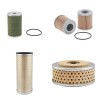 FORD AGRI MAJOR SUPER DEXTRA Filter Service Kit