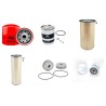 FORD AGRI TW 20 Filter Service Kit      YR  79-82