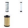 FSI ST 27 D Filter Service Kit w/Lombardini Focs1003 Eng.