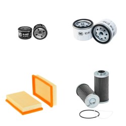 GEHL GEHLMAX F 50 Filter Service Kit w/Lombardini Eng.