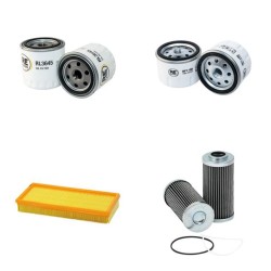 GEHL GEHLMAX F 60 Filter Service Kit w/Lombardini Eng.