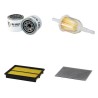 GRADEN CSI CONTOUR SAND INJECTION Filter Service Kit w/Honda Eng. HP 20 CH