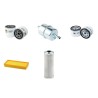 HAULOTTE HA 12 PX Filter Service Kit w/Lombardini LDW1404 Eng.   YR  2006-