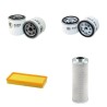 HAULOTTE HA 120 PX Filter Service Kit w/Lombardini LDW 1404 Eng.   YR  2008