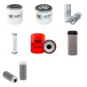 HAYTER LT 322 Filter Service Kit w/Kubota  Eng. SN  922C001001-