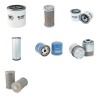 HELI CPCD 15 Filter Service Kit w/Kubota V2403 Eng.   YR  2008-