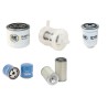 HELI CPCD 25 N-RW 33 B Filter Service Kit w/Yanmar 4TNE98-BQFLC Eng.   YR  2012