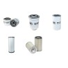 HELI CPCD 30 N-RW33 Filter Service Kit w/Yanmar 4TNV94L-NH7 Eng.   YR  2007-