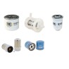 HELI CPCD 35 N-XW33F Filter Service Kit w/Yanmar 4TNE98BQ Eng.