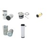HEMAS FARMER 220 CS Filter Service Kit Air Oil Fuel Filters w/Perkins 1104C-44TA Eng.   YR  2006-
