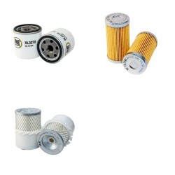 HINOWA DM10 Filter Service Kit Air Oil Fuel Filters