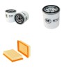 HINOWA DM 15 S Filter Service Kit Air Oil Fuel Filters w/Lombardini  Eng.