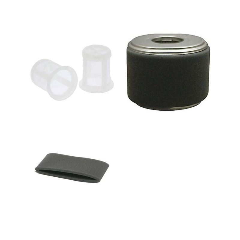 HONDA F 810 Filter Service Kit w/Honda GX240 Eng.
