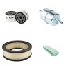 GROUPE HYDRAULI HP 40 Filter Service Kit Air Oil Fuel Filters w/VANGUARD  Eng.     16 HP