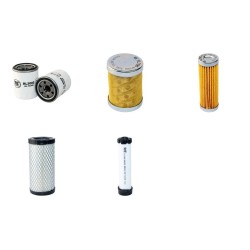 Hyundai R22-7 Filter Service Kit Air Oil Fuel Filters with