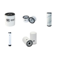 IMER T20H Filter Service Kit w/Lombardini 12LD475-2 Eng.