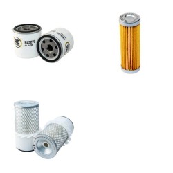 Iseki TE3210 Filter Service Kit
