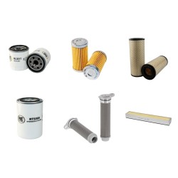 Iseki TH4330 FH Filter Service Kit