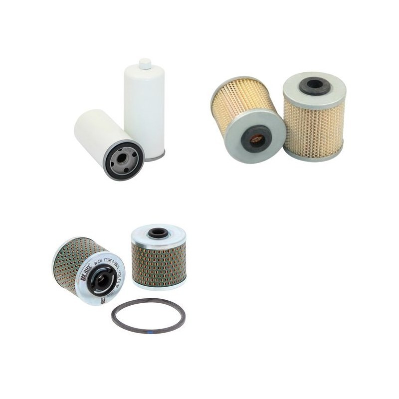 AGRIA 4800 D Filter Service Kit w/RUGGERINI  Eng.