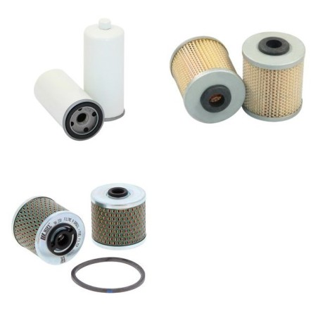 AGRIA 4800 D Filter Service Kit w/RUGGERINI  Eng.