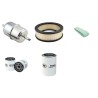 JACOBSEN TRI KING 1800 G Filter Service Kit w/Briggs & Stratton 350447-1169A1 Eng.     18 CH