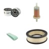 AGRIA 5900 TAIFUN Filter Service Kit w/VANGUARD  Eng.   YR  2015 18HP