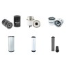 JCB 8065 (RTS) Filter Service Kit w/ISUZU TIERIII Eng.