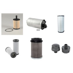 JUNGHEINRICH DFG 435 S Filter Service Kit w/VW BEF Eng.   YR  2010-