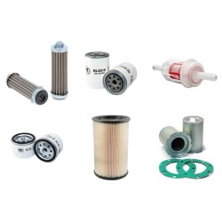 KAESER M 24 Filter Service Kit w/Lombardini 9LD561-2 Eng.