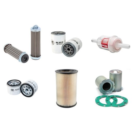 KAESER M 24 Filter Service Kit w/Lombardini 9LD561-2 Eng.