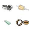 KOHLER CH 730 LP Filter Service Kit w/ TWINCYLINDER Eng.