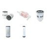 AUSA C 350 H Filter Service Kit Air Oil Fuel Filters w/Kubota  Eng.