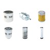 AUSA D 900 APG Filter Service Kit Air Oil Fuel Filters w/Kubota V3600T-EU2 Eng.   YR  2012-