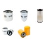 KOOI RE 4-80-1350-1000 Filter Service Kit w/Kubota V3300TE Eng.   YR  2001-