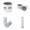 AVANT 750 Filter Service Kit Air Oil Fuel Filters w/Kubota V2403 Eng.