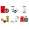 AVIA 100 AD/D Filter Service Kit w/ D421.85 Eng.   YR  06.00-