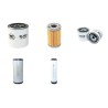 KUBOTA KX 251 ALPHA Filter Service Kit Air Oil Fuel Filters w/Kubota  Eng. SN  3W0001-
