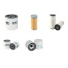 KUBOTA STV 32 Filter Service Kit w/Kubota D1503 Eng. SN  Sin Air