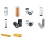 LAMBORGHINI R 6.130 Filter Service Kit w/Deutz BF6M1013EC Eng.   YR  2004-
