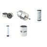 BARRETO E 30 SGB Filter Service Kit withVanguard 31Hp Eng 2013