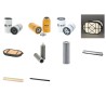 LANDINI 120 POWERMONDIAL DUAL POWER Filter Service Kit w/Perkins  Eng.   YR  2011- 110/120 CH
