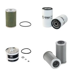 LANDINI 5500 Filter Service Kit w/Perkins  Eng.