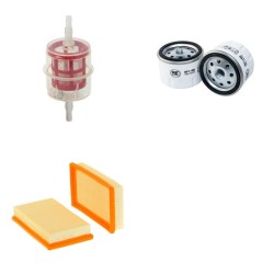 L'EUROPEA 400 W Filter Service Kit w/Lombardini Eng.