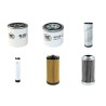 BATEMAG P 40 Filter Service Kit w/Kubota V1505T Eng.