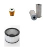 BAUDOUIN DP 8 SRI Filter Service Kit