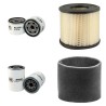 LIFTON LP 11 Filter Service Kit w/Briggs & Stratton  Eng.