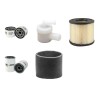 LIFTON LP 18-30 PEPAC Filter Service Kit w/Briggs & Stratton  Eng.