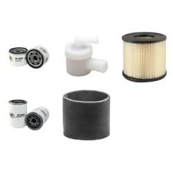 LIFTON LP 18-40 PEPAC Filter Service Kit w/Briggs & Stratton  Eng.