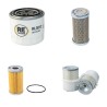 LIFTER PRAMAC GSW 20 Filter Service Kit w/Yanmar 4Tne88 Eng.