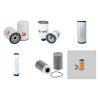 BAUMANN BHX 40-14-45 ST Filter Service Kit w/MOTORI VM 92C3 Eng.